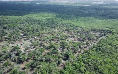 Semam investiga venda ilegal de terrenos em área de preservação ambiental na capital 